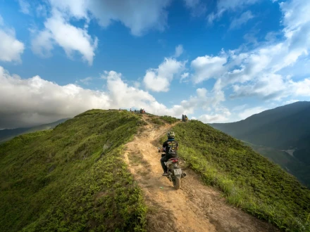 pexels photo 2132174