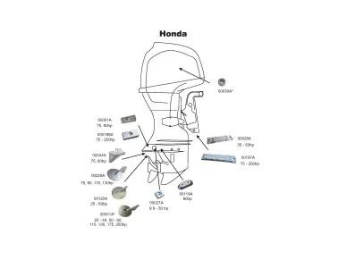 Honda Chart 2021 kuva