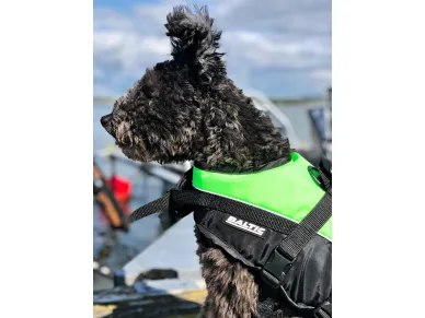 Mascot_green_black_action kuva