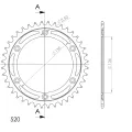 RFE_1512_41-1