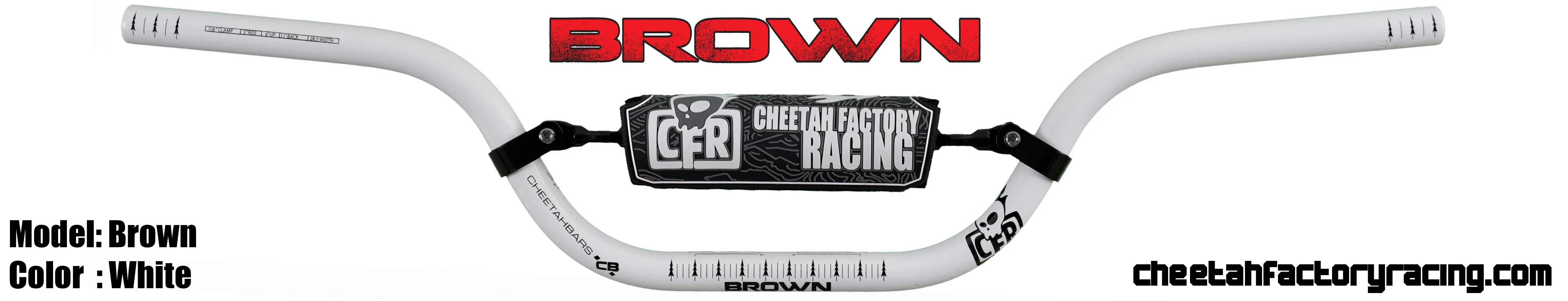 CFR-CD40.1 kuva