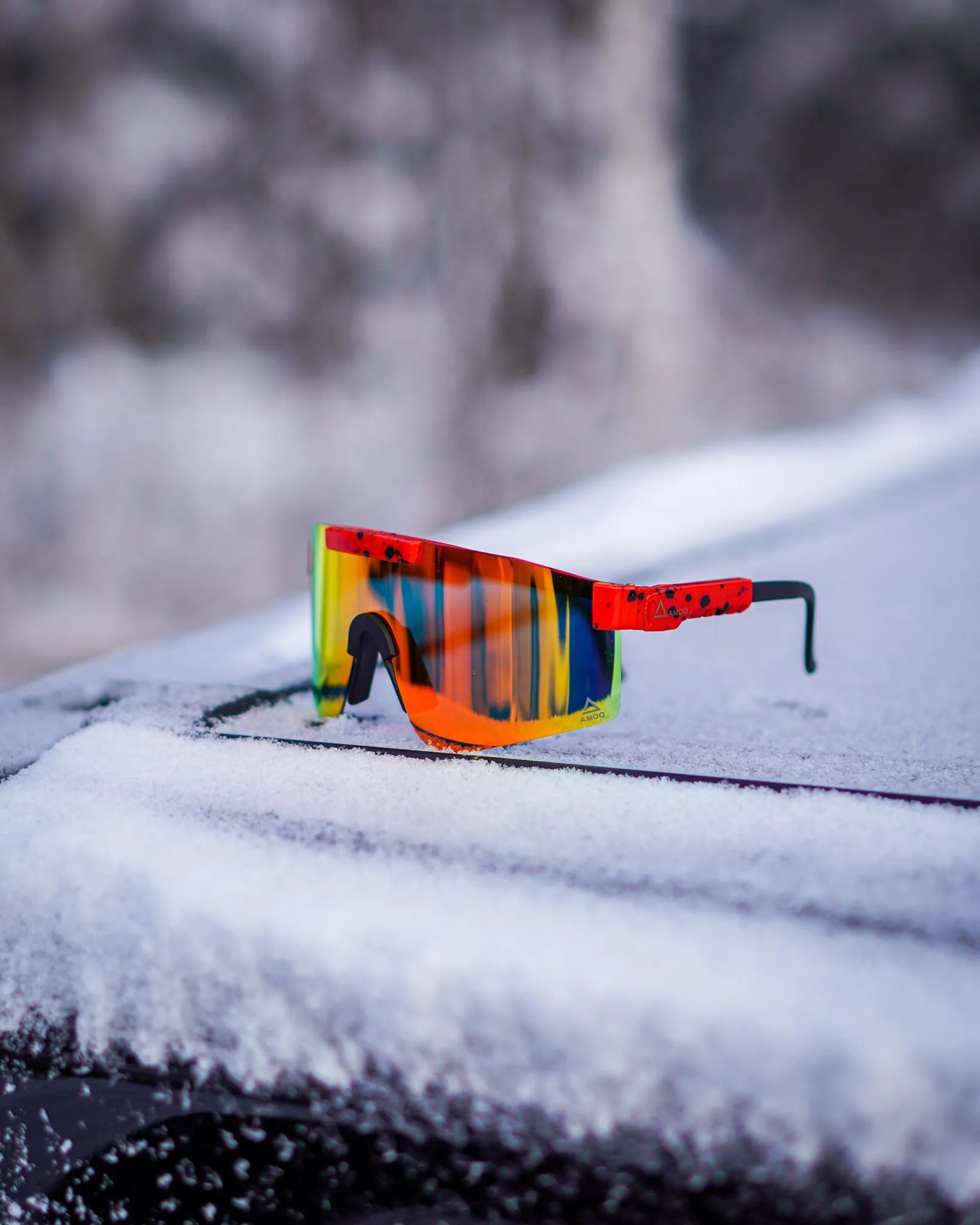 645-NO1-SHADES-7 kuva