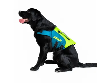 130-3-240023001_dog kuva