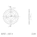 RFE_1071_30-1
