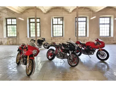 31G-CAFE-1-DBR_spec4 kuva